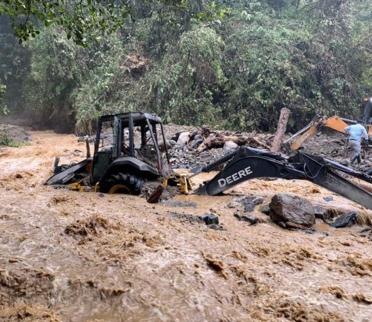 Escasez de víveres y pérdida de cosechas afrontan los habitantes de El Calvario, Meta